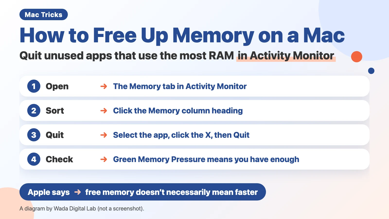 Diagram (not a screenshot) titled How to Free Up Memory on a Mac, Quit unused apps that use the most RAM in Activity Monitor. 1: Open, The Memory tab in Activity Monitor. 2: Sort, Click the Memory column heading. 3: Quit, Select the app, click the X, then Quit. 4: Check, Green Memory Pressure means you have enough. At the bottom: Apple says, free memory doesn’t necessarily mean faster.
