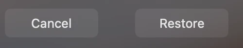 Two buttons side by side at the bottom of the Time Machine screen: Cancel and Restore