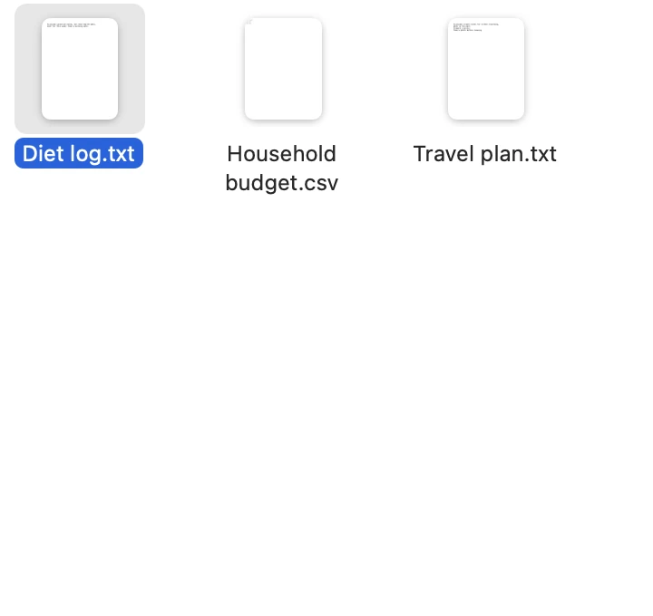 A Finder folder with three files: Diet log.txt, Household budget.csv and Travel plan.txt. Diet log.txt is selected