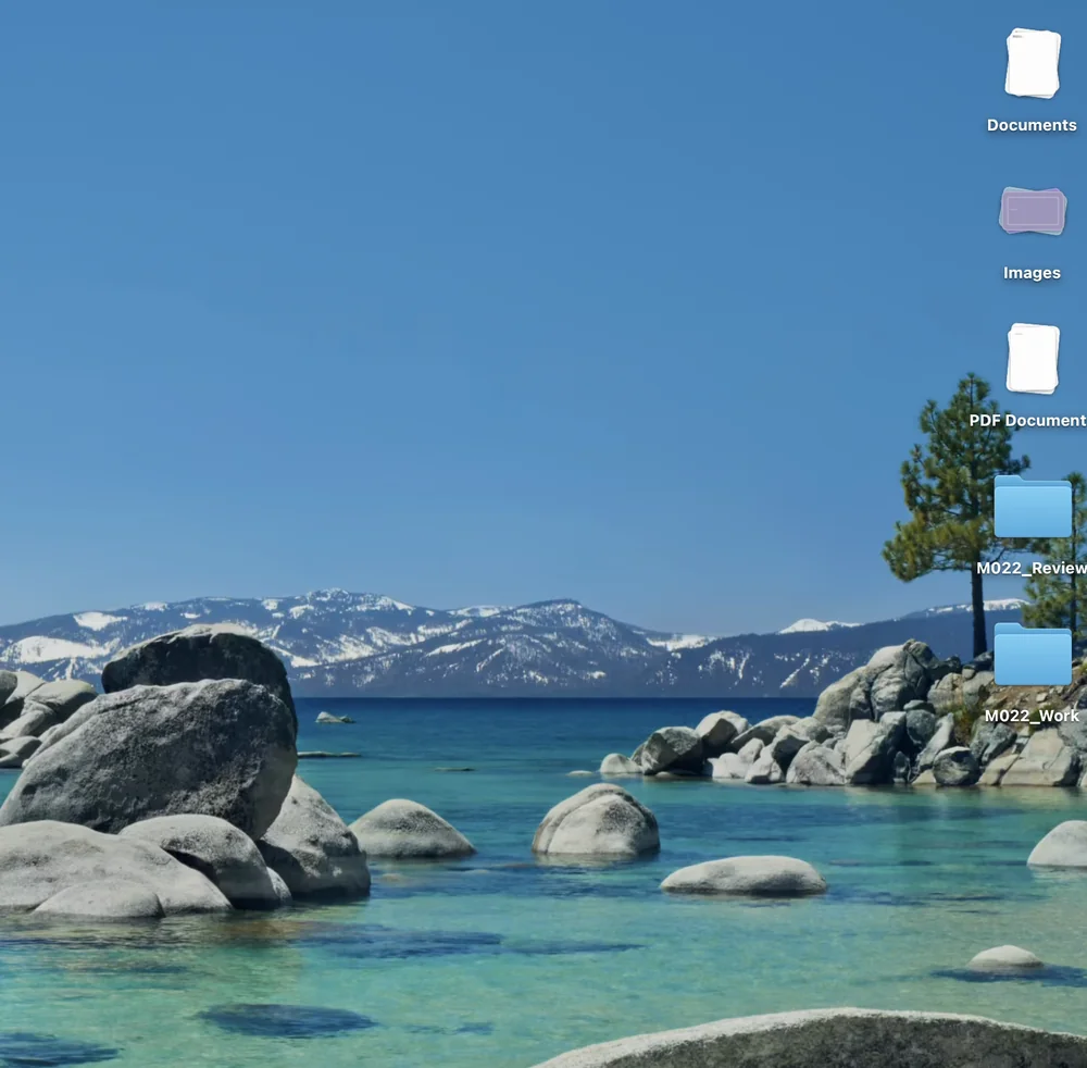The same desktop after using Stacks: three stacks named Documents, Images and PDF Documents, and two folders