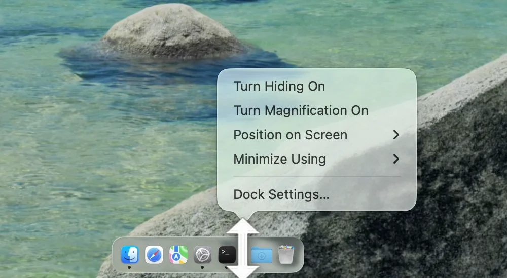 The menu that appears when you Control-click the separator line in the Dock: Turn Hiding On, Turn Magnification On, Position on Screen, Minimize Using and Dock Settings…