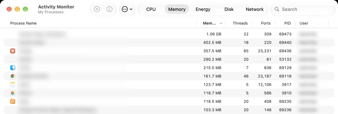The Memory tab of Activity Monitor. The Memory column heading, shortened to Mem..., has a down arrow, and the list is sorted with the biggest users first. The top row shows 1.06 GB and the next 402.5 MB. The Process Name column is blurred