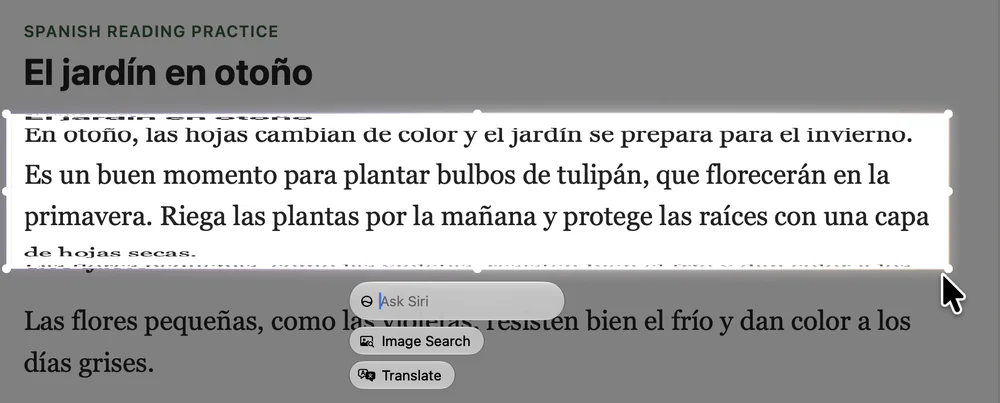 A Spanish paragraph on a web page in Safari, selected with Command-Shift-6. Below it, the Ask Siri field, and the Image Search and Translate buttons.