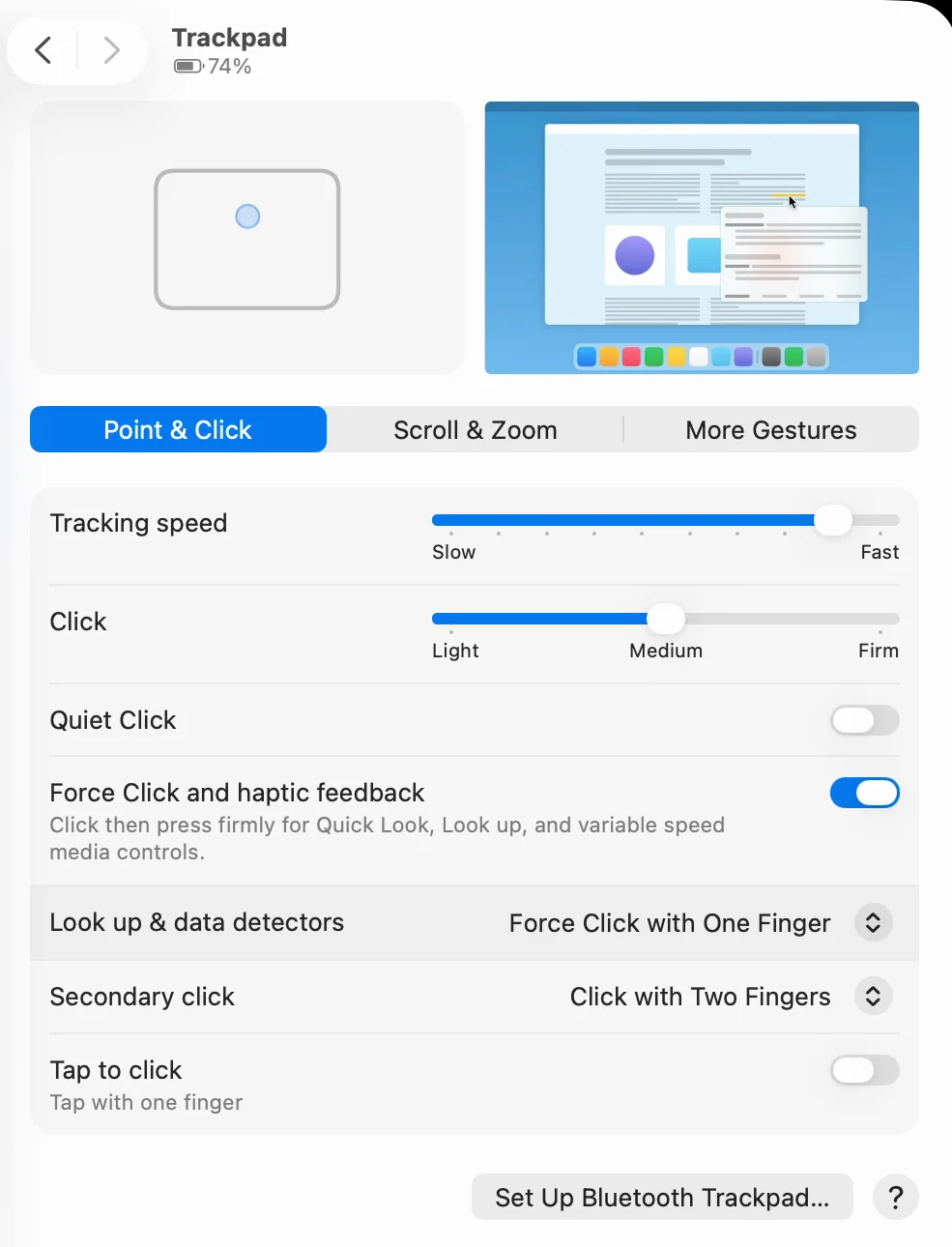 The Point & Click tab in Trackpad settings. Secondary click is set to Click with Two Fingers, and Tap to click below it is off